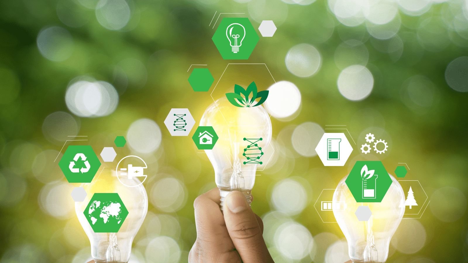 The Future of Energy Finance: Legal Insights, Trends & Opportunities