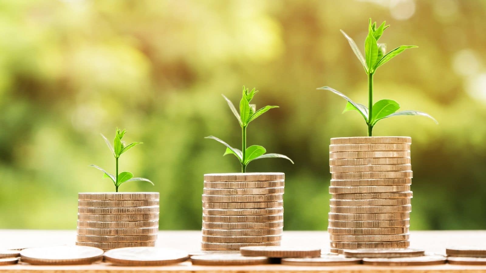 Follow the Capital: Investment and Careers in Climate