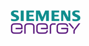 Energy and Fleet Management Solution Analyst
