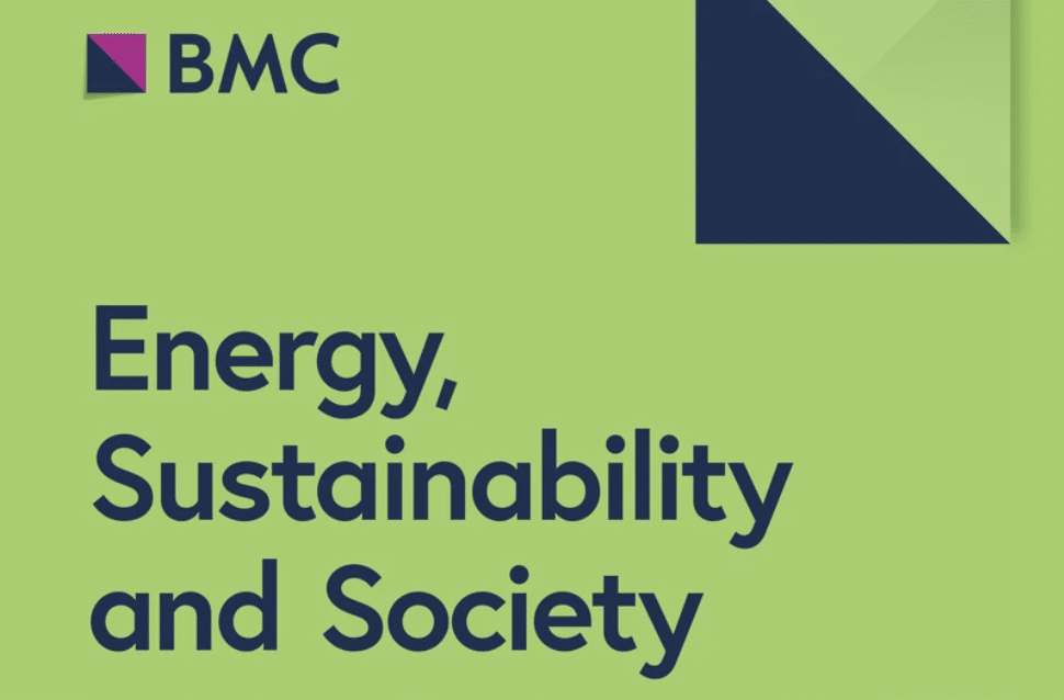 Gender-based opportunity structure in the energy sector: a literature review on women’s networking and mentoring
